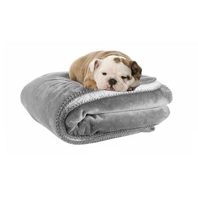 Couverture pour animaux de compagnie 100% polyester en laine d'agneau imperméable à l'eau toute saison Tricotée pour chats et chiens