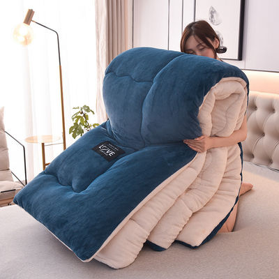 Four Seasons universel vers le bas alternative couette de couette pour toutes les saisons