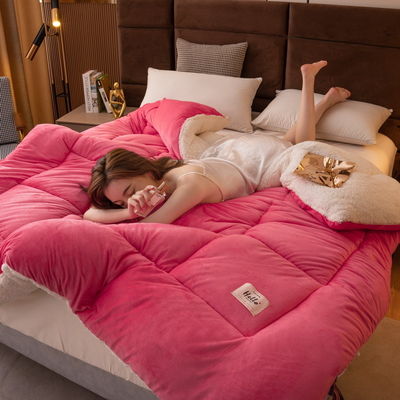 Une couette élégante, confortable, douce, confortable, lourde, avec un sherpa.