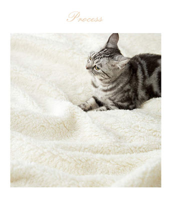 Le luxe et le confort avec notre couverture Sherpa en flanelle grise moderne toute saison