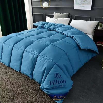 Hilton Douvet Double Printemps automne et hiver Couette de base et style chaud pour les micro-entreprises