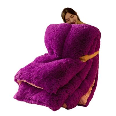 Couette d'hiver épaissie pour toutes les saisons avec velours de vison pour cheveux longs et chaleur 100% polyester