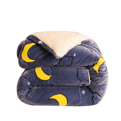 Ensemble de literie personnalisée épaissie en laine d'agneau chaude avec 100% de tissu de polyester