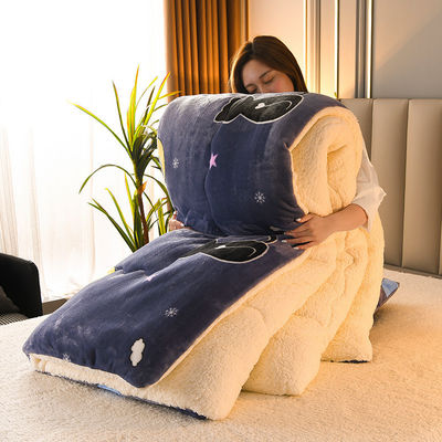 Ensemble de literie personnalisée épaissie en laine d'agneau chaude avec 100% de tissu de polyester